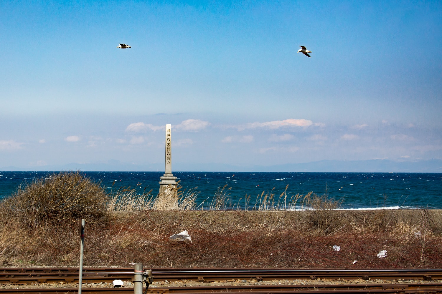 The coast of northern Japan, seen from the shinkansen