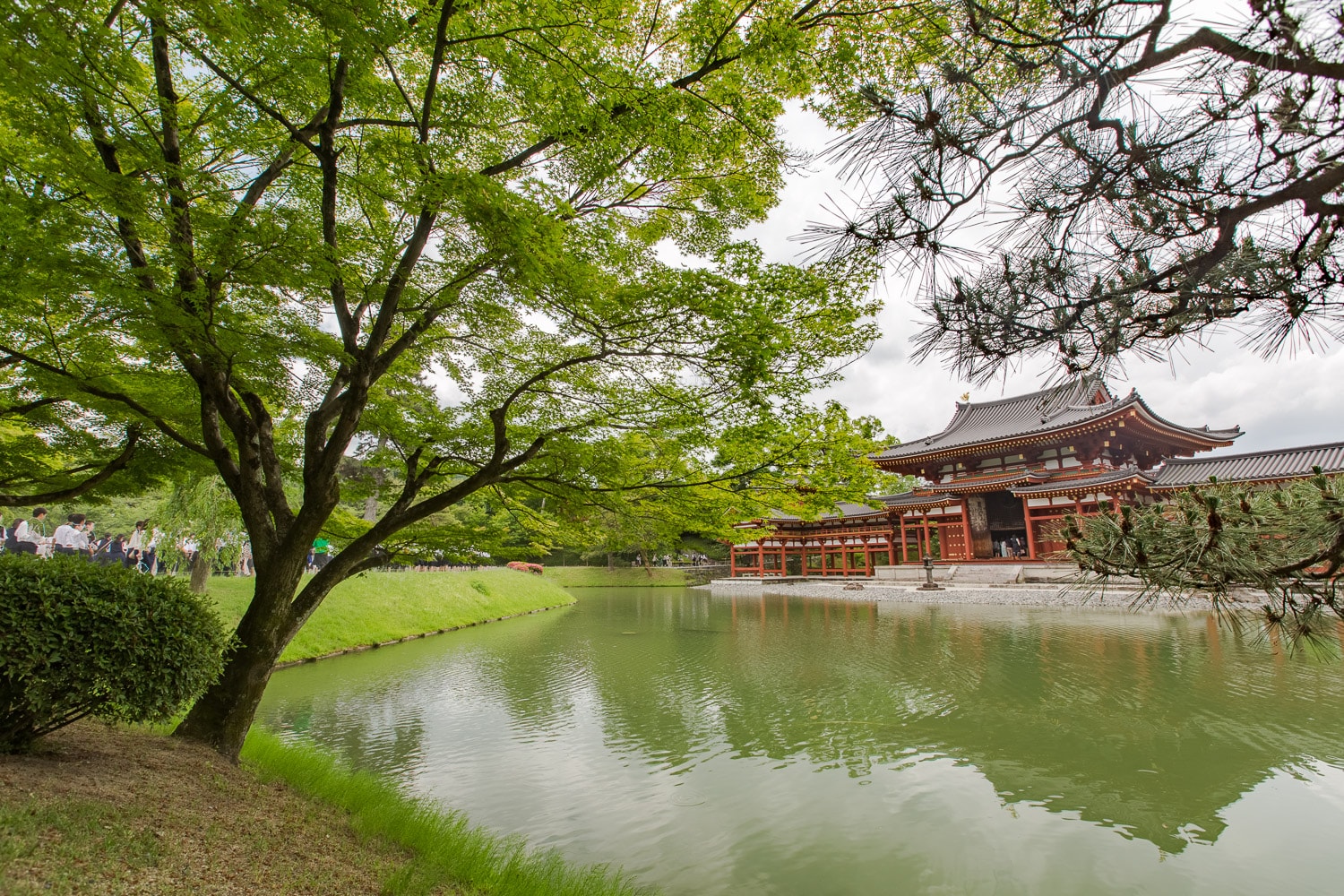 Byodoin Temple in Nara