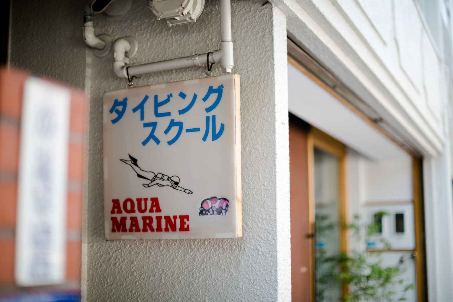 Aqua Marine Diving School (Kyoto, Japan)