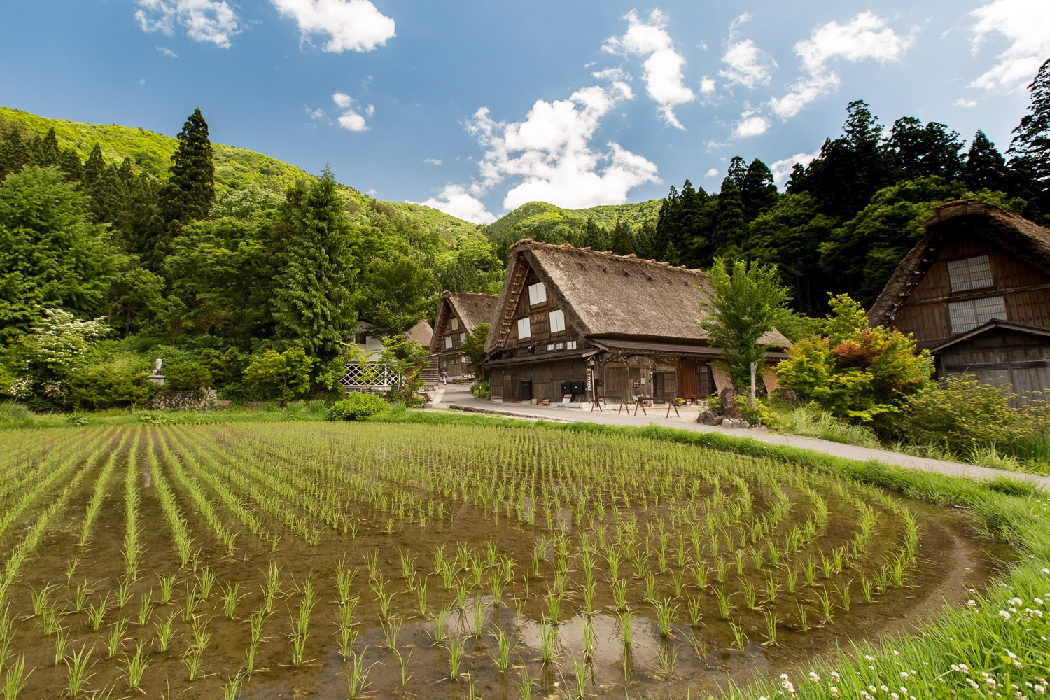 Shirakawago