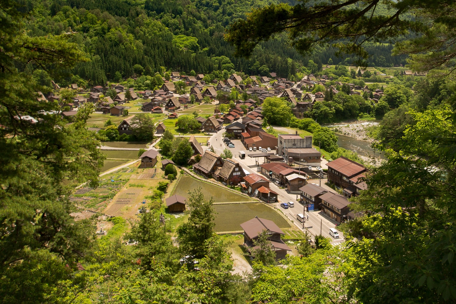 Shirakawago