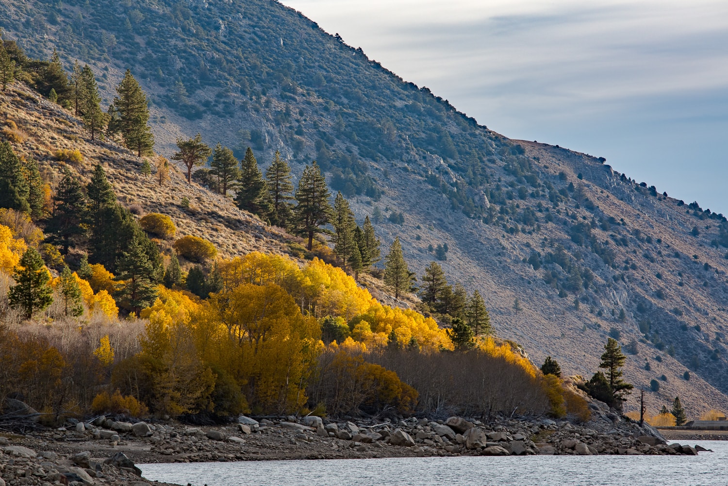 Fall colors along Lundy Lake