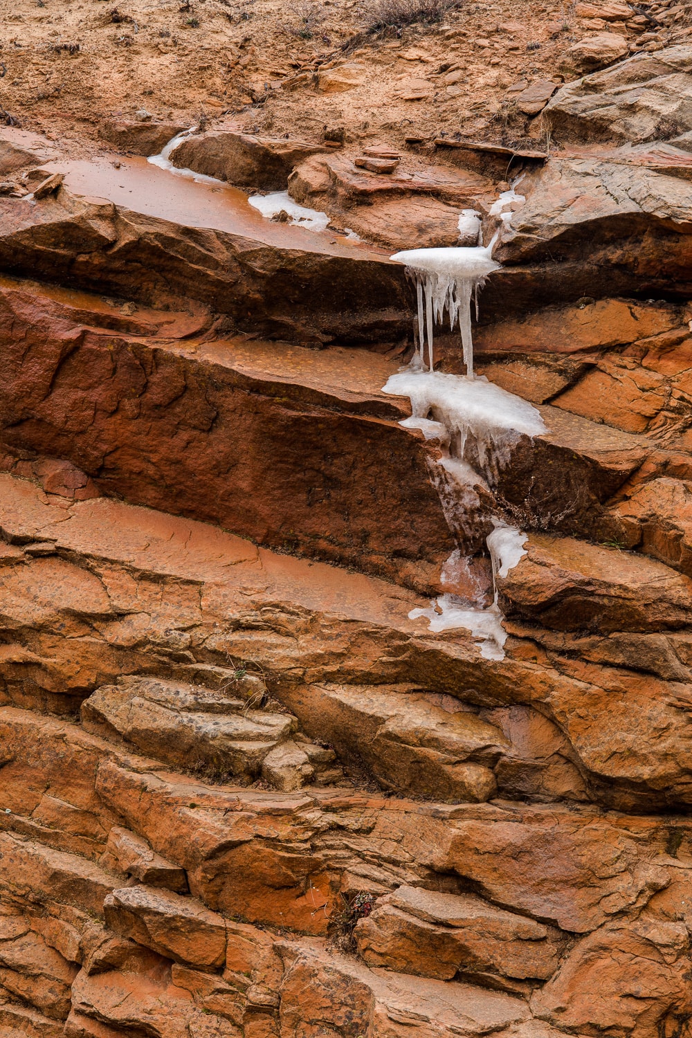 Sandstone and ice (Zion National Park)