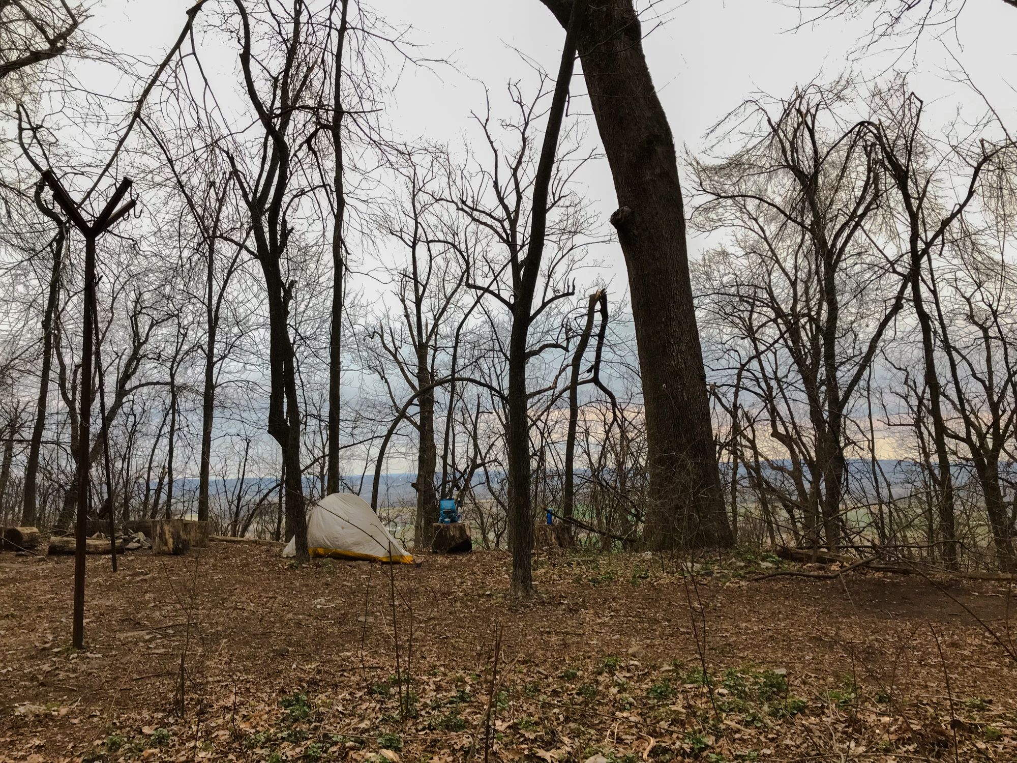 My tent in the middle of wintery dead trees, with the view of the countryside in the background